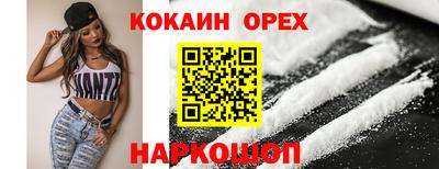 гашик Аргун