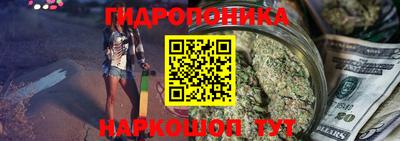 гашик Аргун