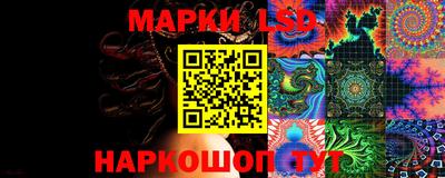 гашик Аргун