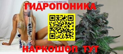 гашик Аргун