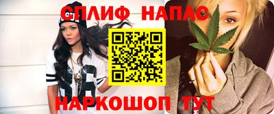 гашик Аргун