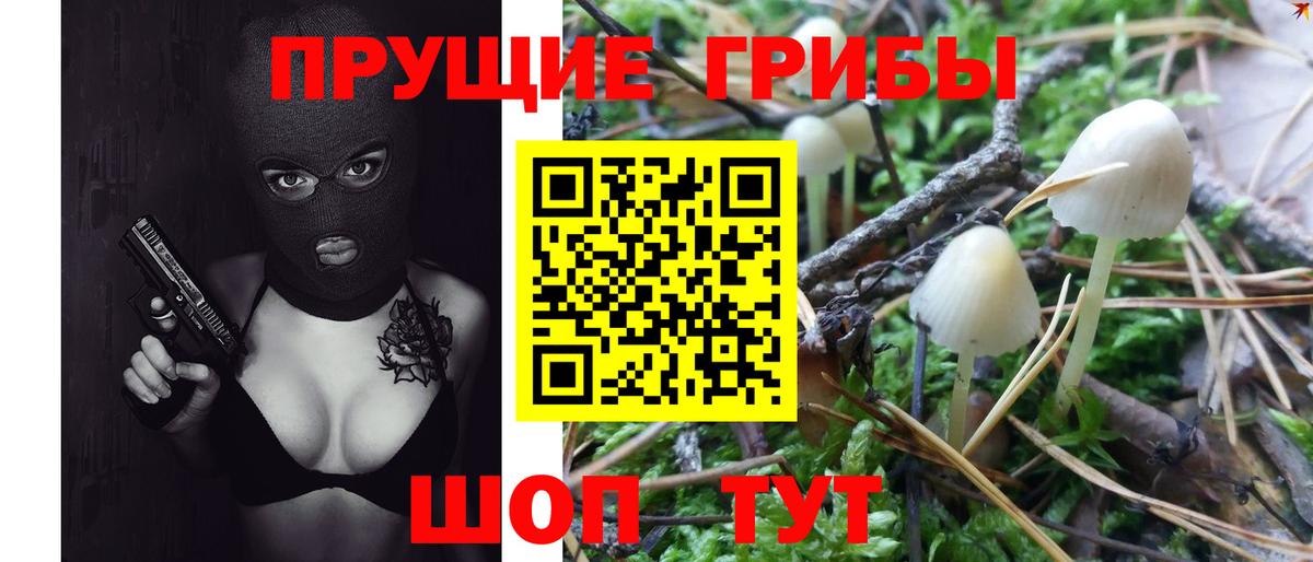 Псилоцибиновые грибы MAGIC MUSHROOMS Апшеронск