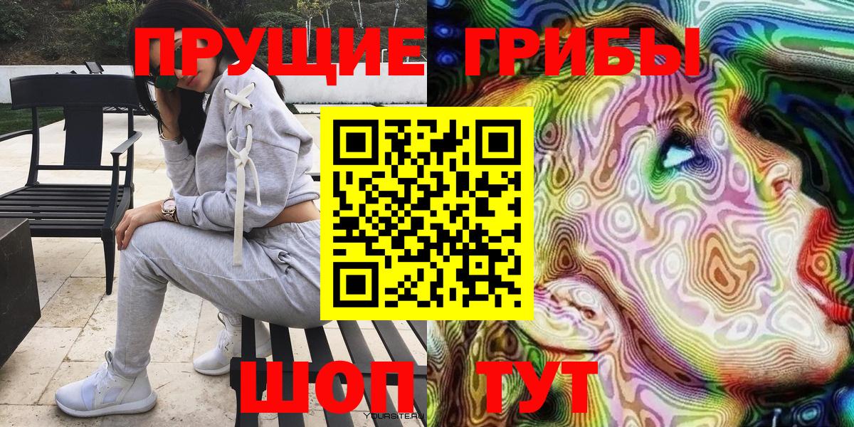 где найти   Псилоцибиновые грибы Psilocybine cubensis  Вход с VPN  Апшеронск 